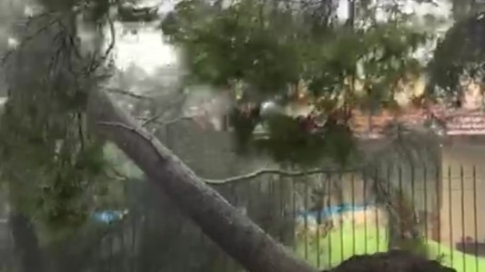 El temporal causó voladuras de techos, caída de árboles e inundaciones en varias localidades del país