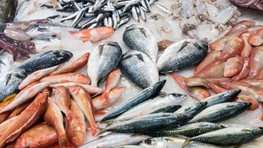 Se viene Semana Santa y el pescado no es ajeno a la inflación