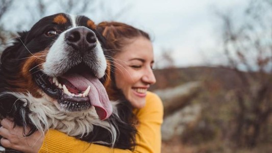 El pedido de una veterinaria que se hizo viral: "No dejes que tu perro se muera solo"