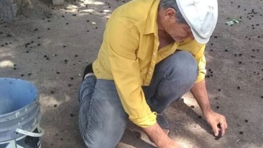 Un albañil demandará a su padre bodeguero por 100 millones de pesos