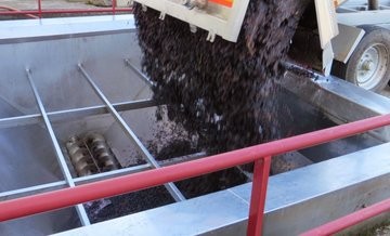 Un operario sufrió la amputación de sus pies al caer dentro de una moledora de uva en Mendoza