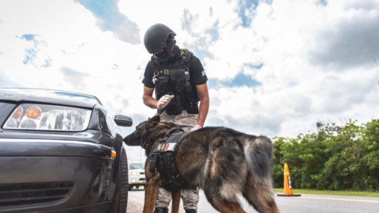 detenidosnarcotraficodrogassanfrancisco