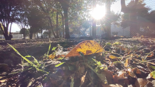 Bueno y seco, aire frío, tarde agradable, máxima 23°