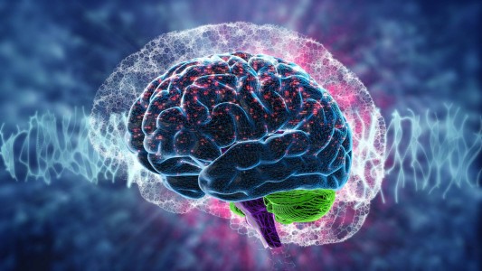 ¿Sabías qué el cerebro alcanza su mayor volumen cuando llegamos a los 10 años de edad?