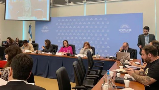 Ley de Alquileres: tras la última audiencia, la semana que viene comenzará el debate del proyecto