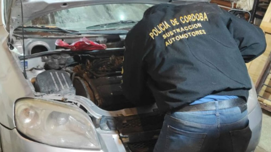 Veinte detenidos por robo de autos y autopartes en Córdoba