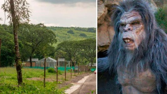 Salta: aseguran haber visto un "ucumar", un animal mítico del norte argentino