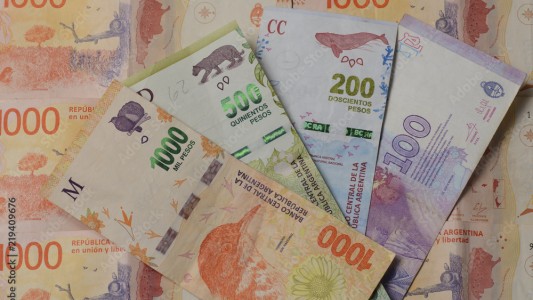 ANSES: cómo acceder al bono de $18.000 y cuáles son los requisitos