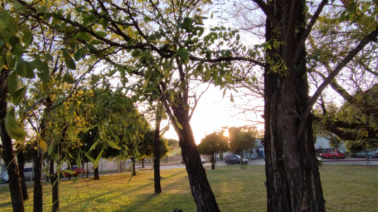 Soleado y frío, viento sur, descenso de temperatura, máxima 22°