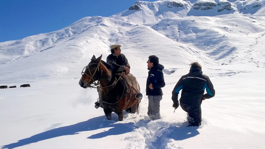 Nieve en Neuquén: así rescatan a los animales
