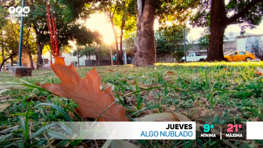 Parcialmente nublado y frío, viento sur, descenso de temperatura, máxima 21°