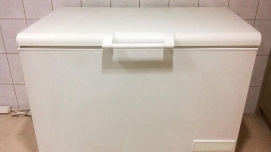 Vivía con su madre y dijo que no la veía hacía "mucho tiempo": apareció muerta en un freezer de la casa