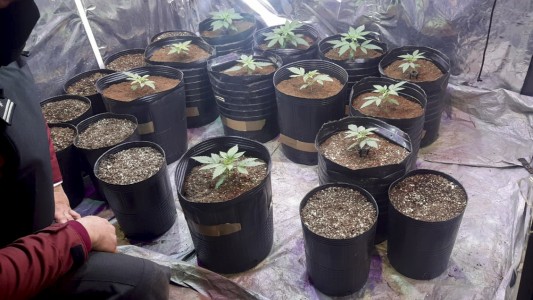 Santa Fe: chocaron una camioneta y abandonaron media tonelada de marihuana