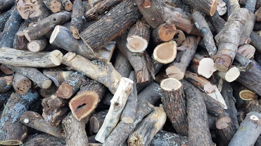 Llega el frío y la leña está que arde