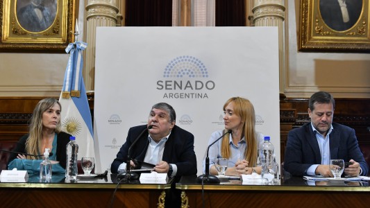 Moratoria previsional: el kirchnerismo presentó un proyecto propio en el Senado