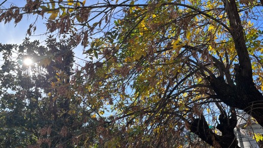 Domingo 8 de mayo con descenso de temperatura