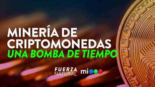 Minar criptomonedas, una bomba de tiempo para el medio ambiente #FuerzaNatural
