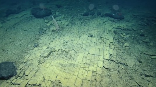 Hallaron un misterioso camino de ladrillos amarillos en el mar a 3.000 metros de profundidad