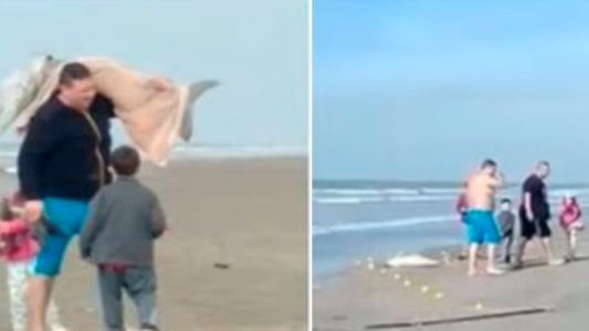 Mar del Tuyú: un hombre pescó un delfín en peligro de extinción y se lo llevó envuelto en mantas