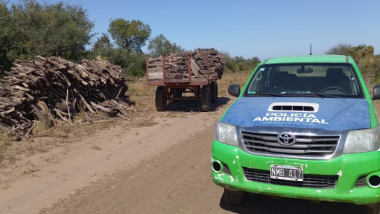 Policía Ambiental frenó intervenciones forestales en un predio de Las Arrias