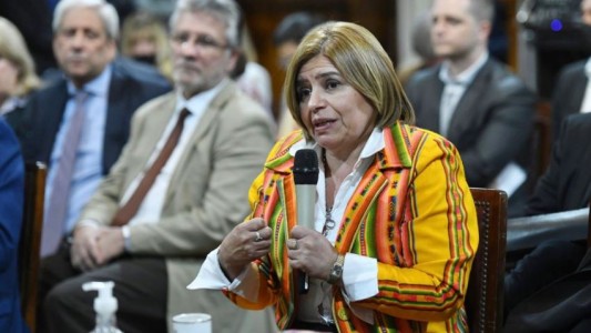 Insólita pelea en el Senado: una legisladora denunció que le ocuparon su banca