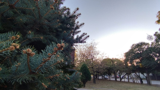 Buen tiempo, algo nublado, aumento de temperatura, máxima 24°