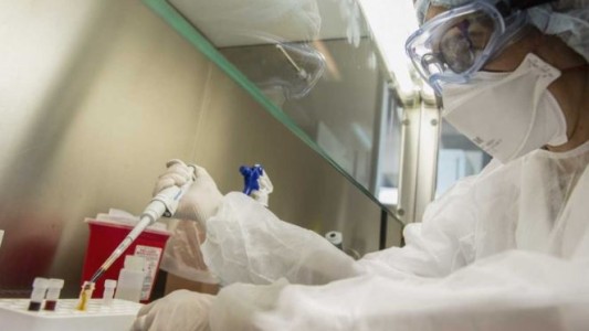 Viruela del mono: afirman que hay "altas probabilidades" de que el caso sospechoso en la Argentina sea positivo