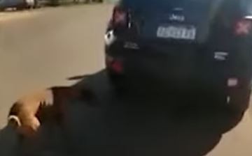 Arrastró a un perro con su camioneta y terminó detenido en Misiones