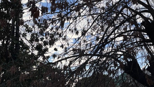 Domingo 29 de mayo: frío y húmedo