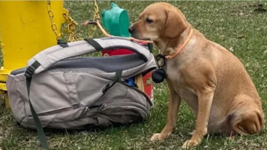 Abandono: dejó a su perra atada, con una mochila y una carta