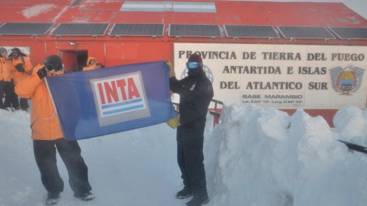 La Argentina producirá verduras en la Antártida a través de cultivos hidropónicos