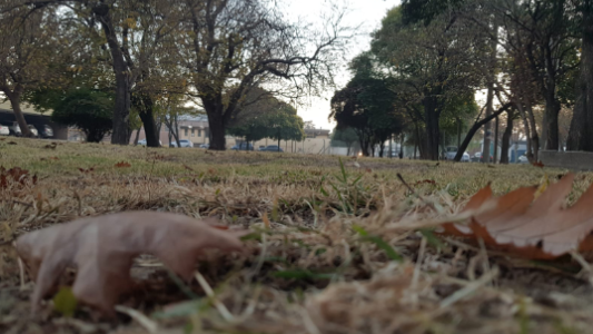 Buen tiempo, nublado, ascenso de temperatura, máxima 20°