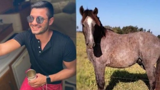 Alcoholizado, se metió en una subasta y compró un caballo: "Ni sé cuidar un perro"