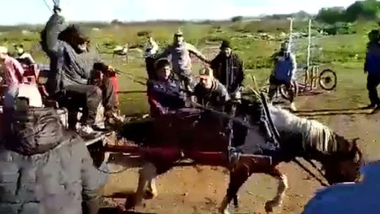 Video: así eran las cinchadas de caballos organizadas por "Los Salvajes"
