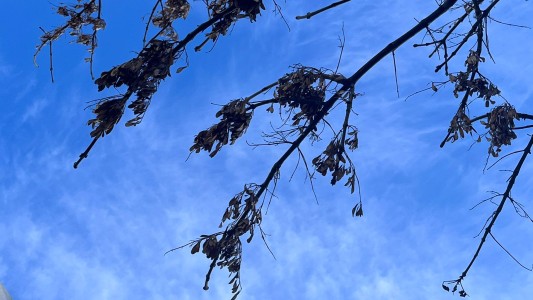 Domingo agradable: el clima para el día del padre