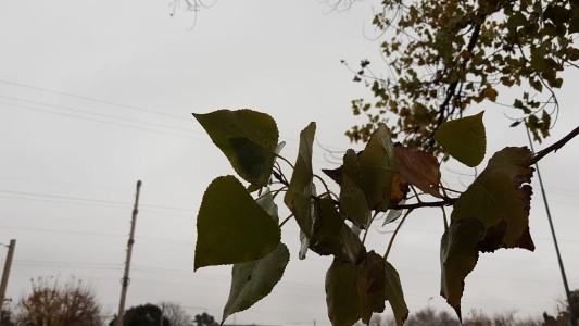 Jornada fría, aumento moderado de temperatura, máxima 14°