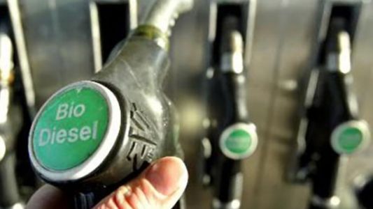 ¿El biodiesel es un opción? ¿Cómo lo soportan los motores diésel?