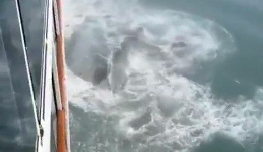 Pánico a bordo: un crucero chocó contra un iceberg en medio del océano