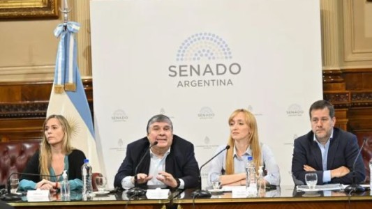 La nueva moratoria provisional tuvo media sanción en el Senado