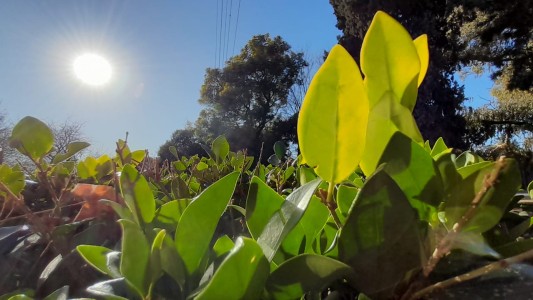 ¿Cómo estará el tiempo en Córdoba este fin de semana?