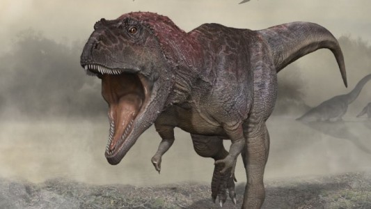 Meraxes Gigas: presentaron un nuevo dinosaurio carnívoro gigante hallado en la Argentina