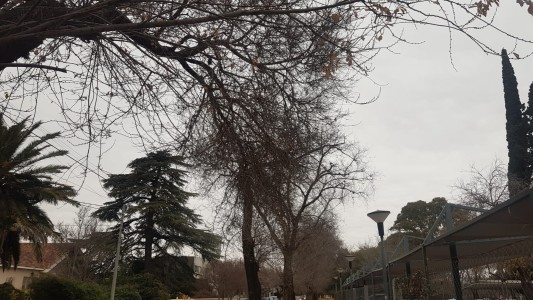 Tiempo en Córdoba: frio por la mañana, se esperan lluvias con una máxima de 15°