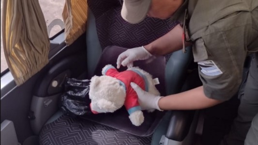 Viajaban desde Bolivia a Buenos Aires con 55 cápsulas de cocaína ocultas en un peluche