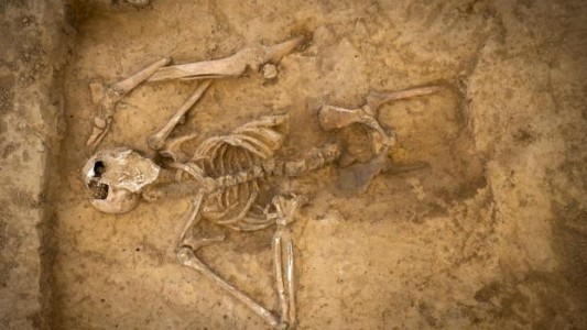 Hallan esqueletos de hombres y caballos sepultados en el campo de la histórica batalla de Waterloo