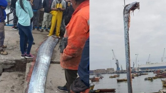 Se cumplió el presagio del pez remo: Chile registró un sismo en la Isla de Pascua