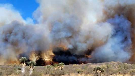 Alerta por riesgo extremo de incendios para este fin de semana