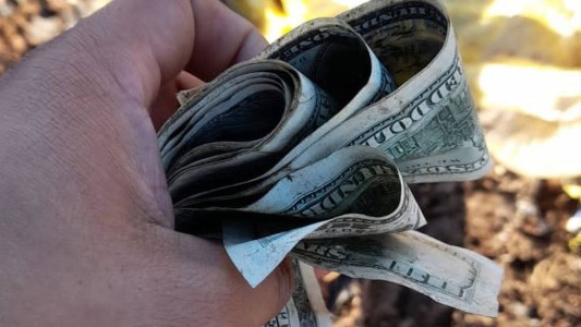 El misterio de los miles de dólares hallados en un basural: el origen del dinero
