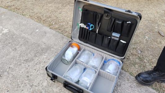 Un detenido por la muerte en la fiesta electrónica de Malagueño