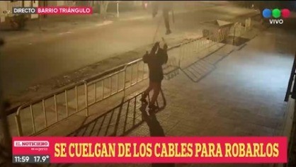 A lo Tarzán: Se cuelgan de los cables para robarlos