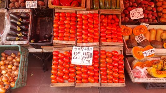 Sobra producción y hay bajas en verduras